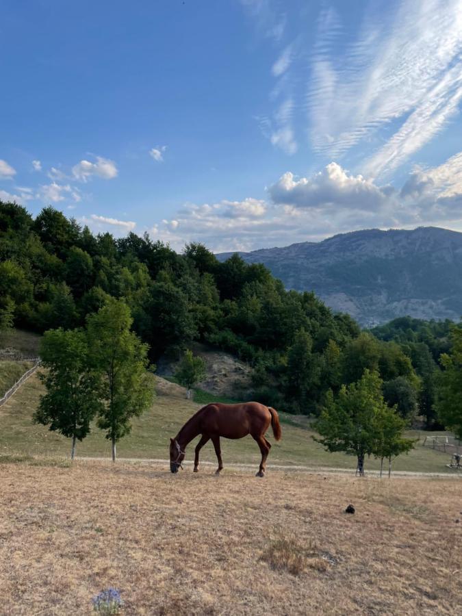 Шале Etno Village Vojnik *