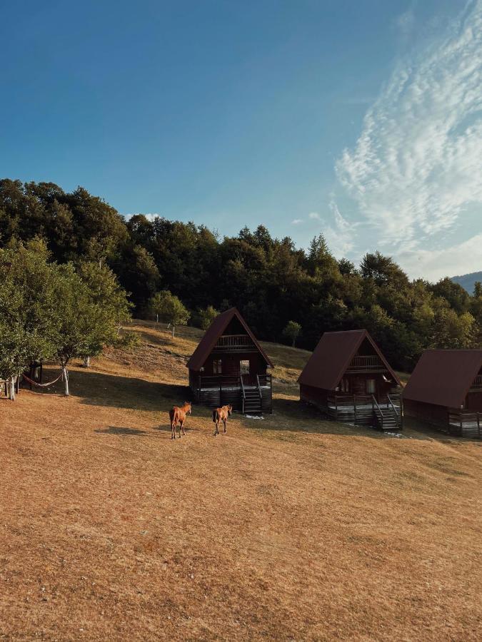 Etno Village Vojnik Шале